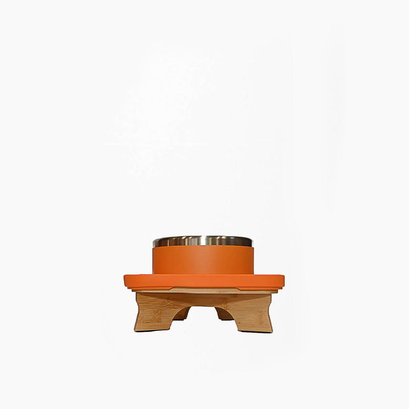 Trot Single Water Bowl Elevated Set