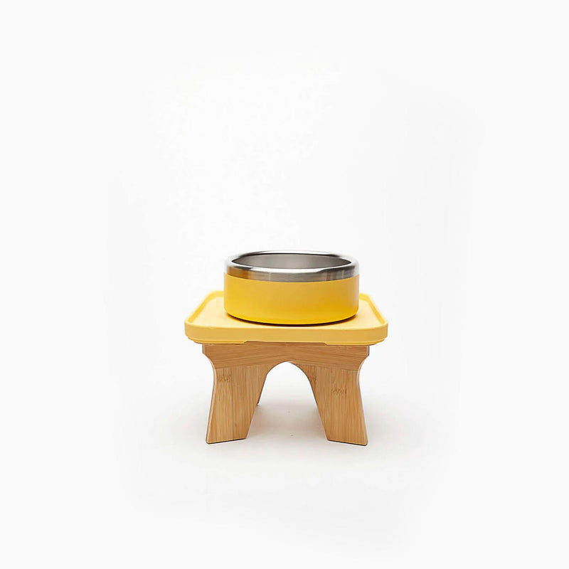 Trot Single Water Bowl Elevated Set