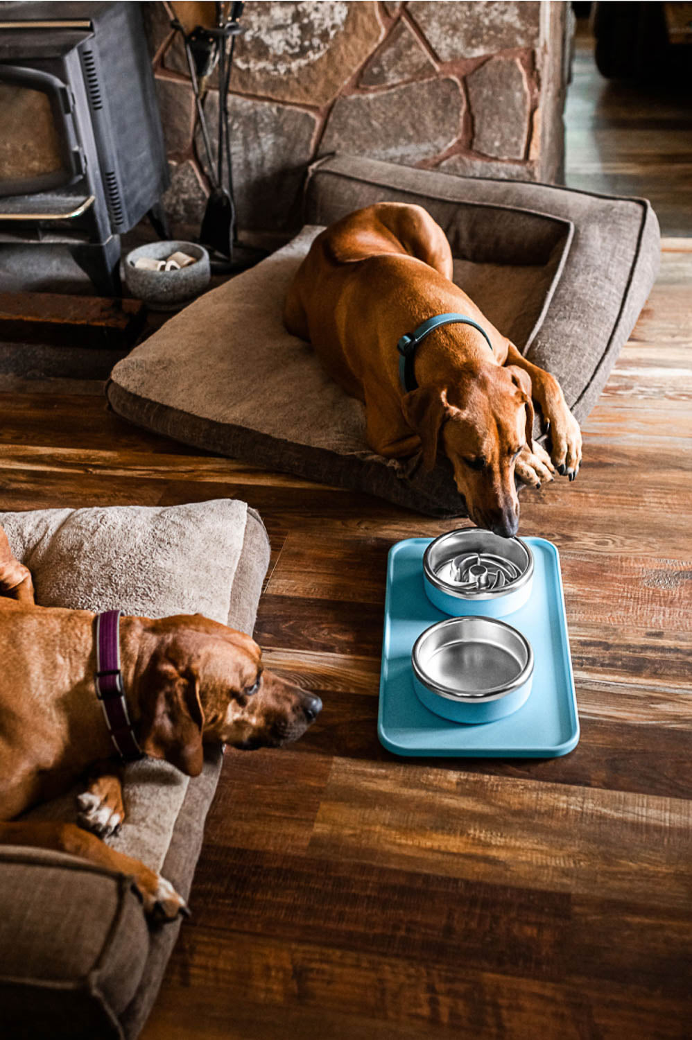 Mat for under dog water bowl online
